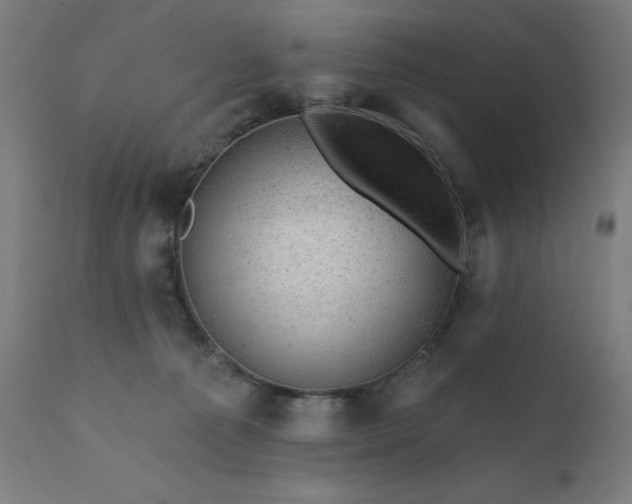 X0000112430225200908281909