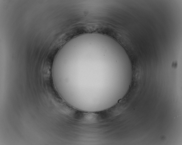 X0000112430226200908281909