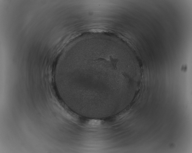 X0000112430227200908281909