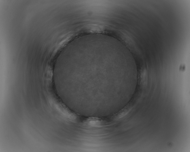 X0000112430228200908281909