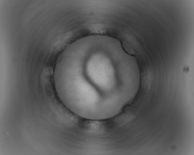 X0000112430229200908281909