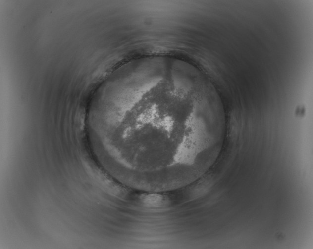 X0000112430230200908281909