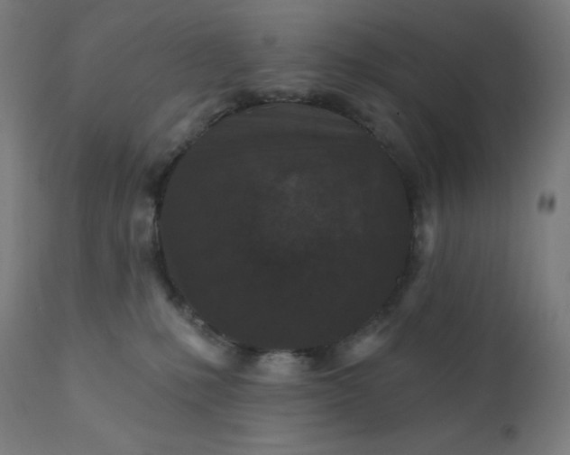 X0000112430231200908281909