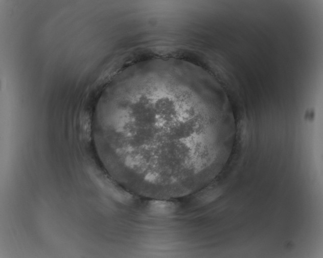 X0000112430234200908281909