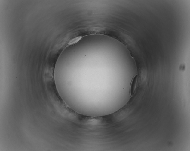 X0000112430236200908281909