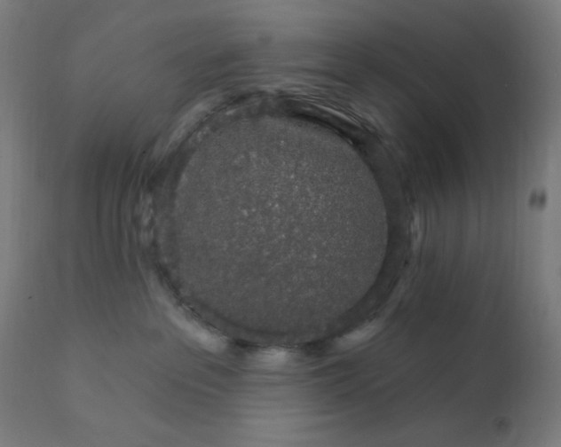 X0000112430237200908281909