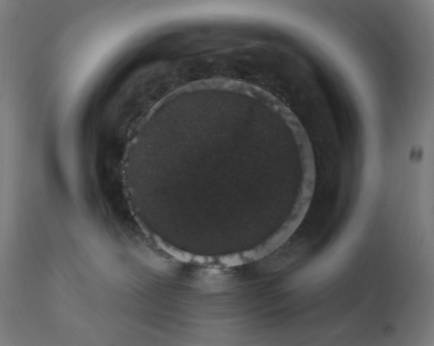 X0000112430239200908281909