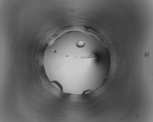 X0000112430240200908281909