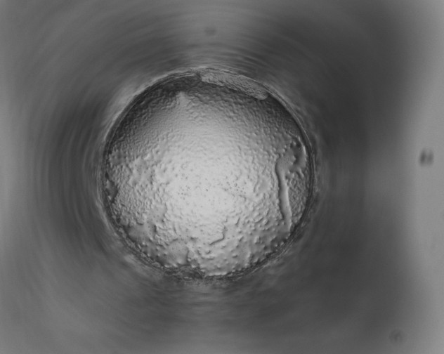 X0000112430241200908281908