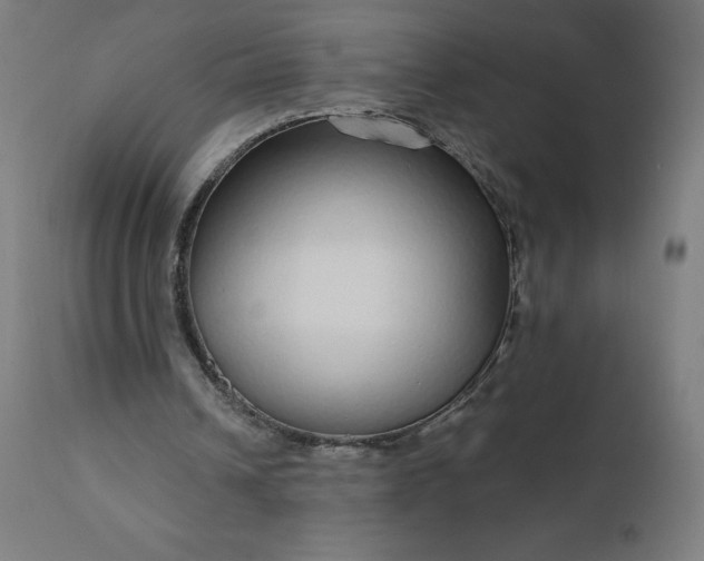 X0000112430242200908281908