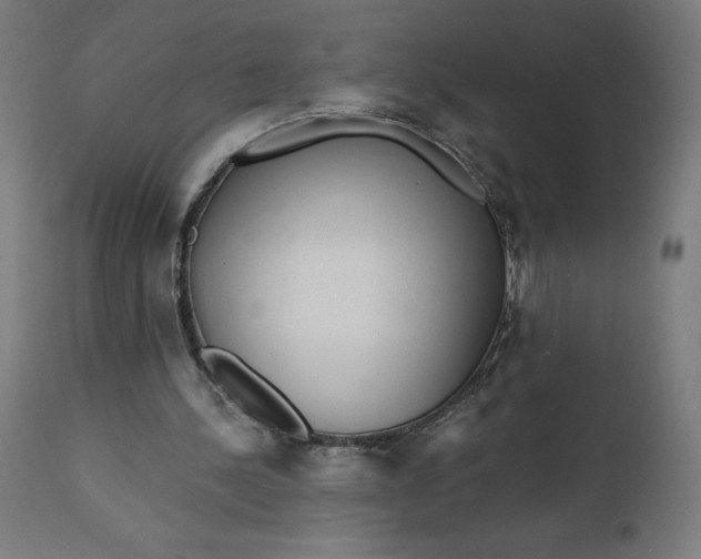 X0000112430244200908281908