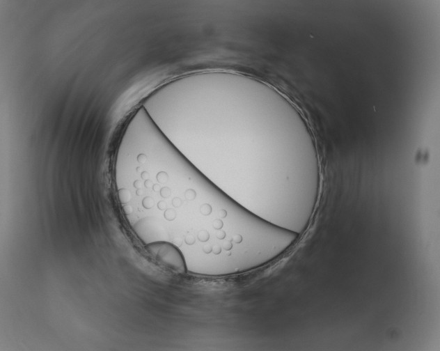 X0000112430245200908281908