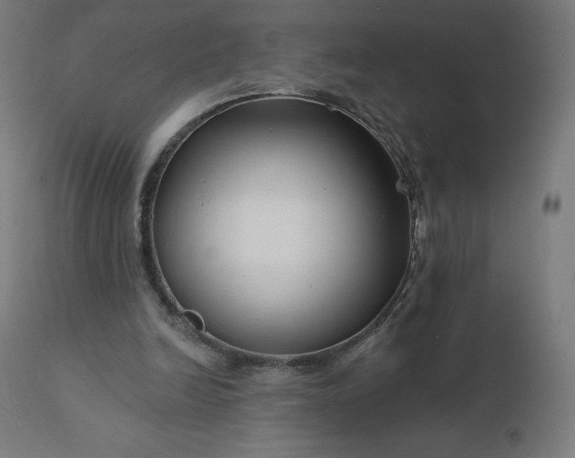 X0000112430246200908281909