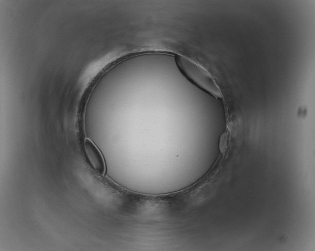 X0000112430248200908281909