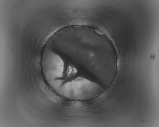 X0000112430249200908281909