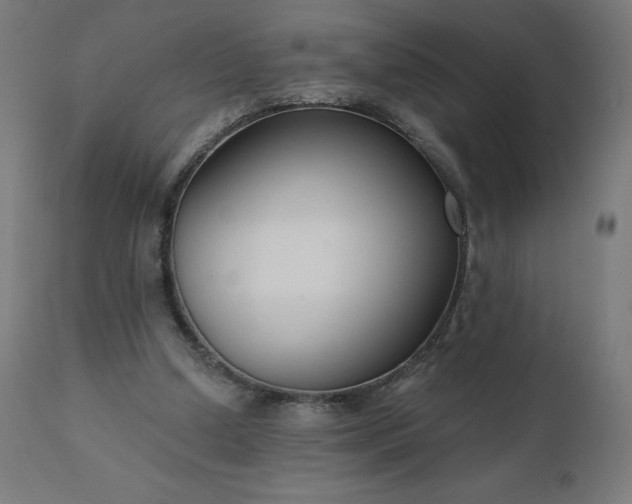 X0000112430250200908281909