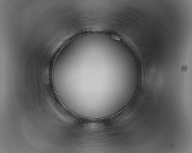 X0000112430251200908281909