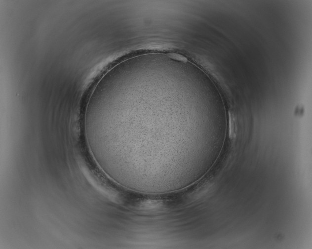 X0000112430252200908281909