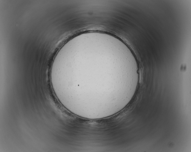 X0000112430253200908281909