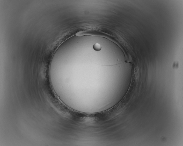 X0000112430255200908281909