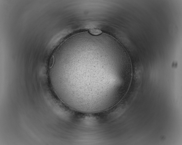 X0000112430256200908281909