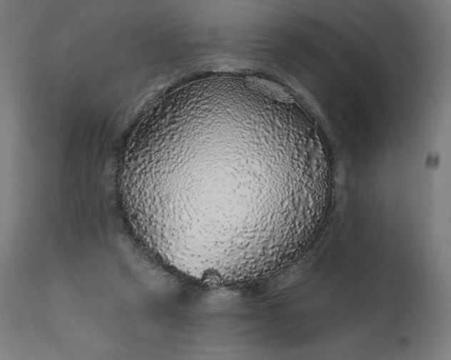 X0000112430257200908281909