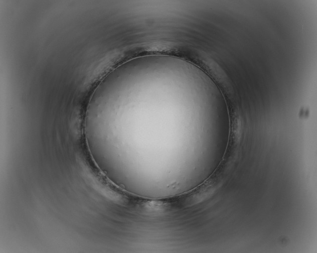 X0000112430261200908281909