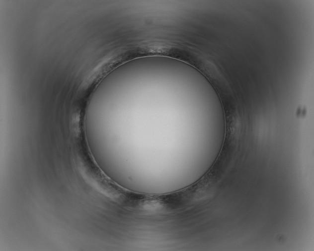 X0000112430262200908281909