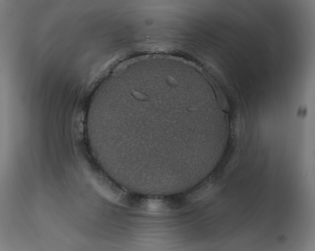 X0000112430264200908281909