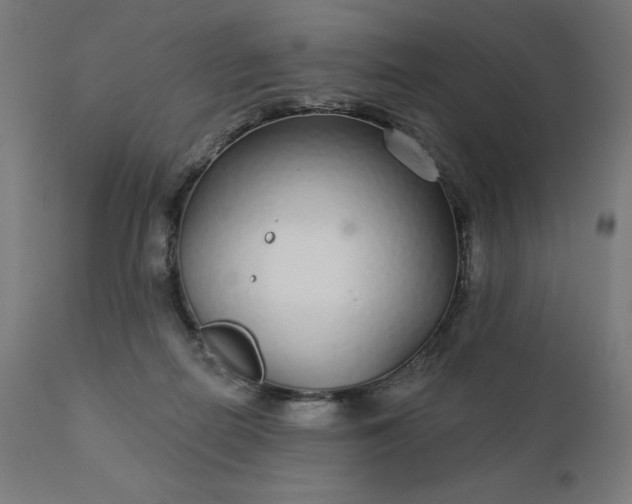 X0000112430266200908281909