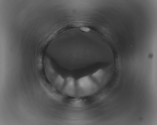 X0000112430267200908281909