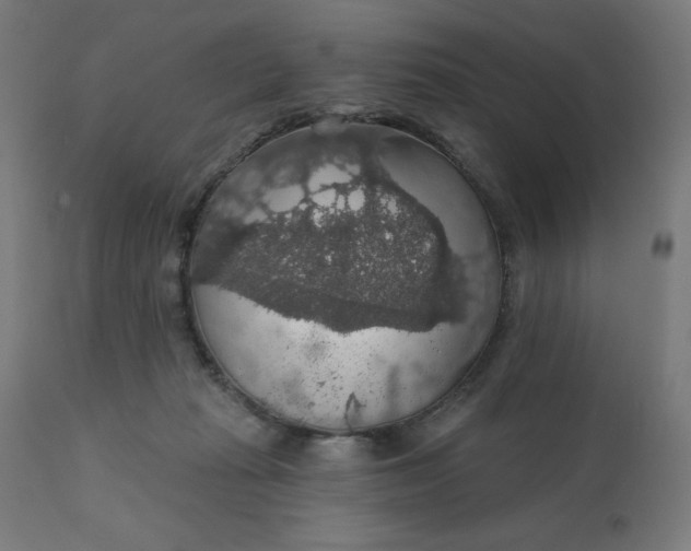 X0000112430269200908281909