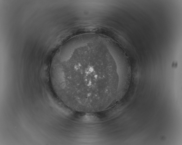 X0000112430270200908281909