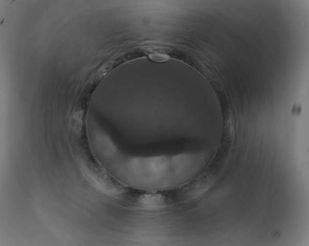 X0000112430271200908281909