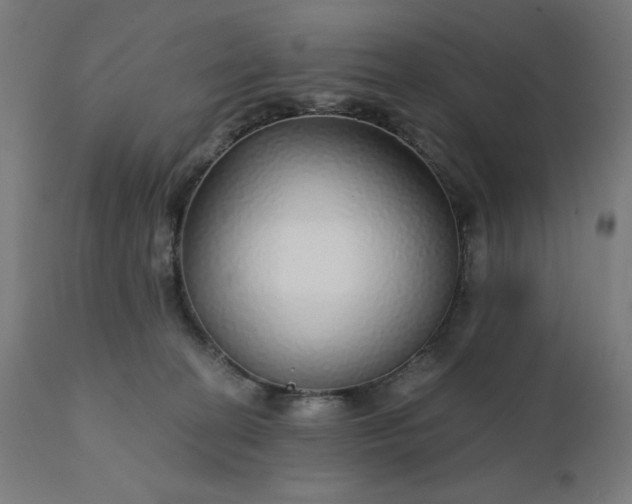 X0000112430274200908281909