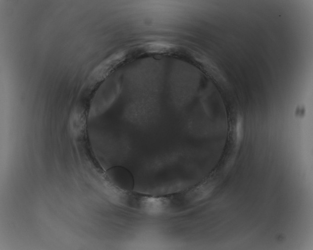 X0000112430277200908281909