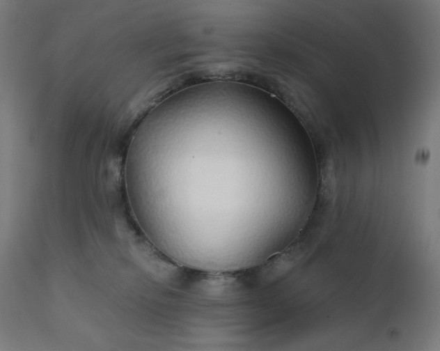 X0000112430278200908281909