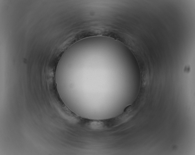 X0000112430279200908281909