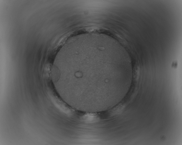 X0000112430280200908281909