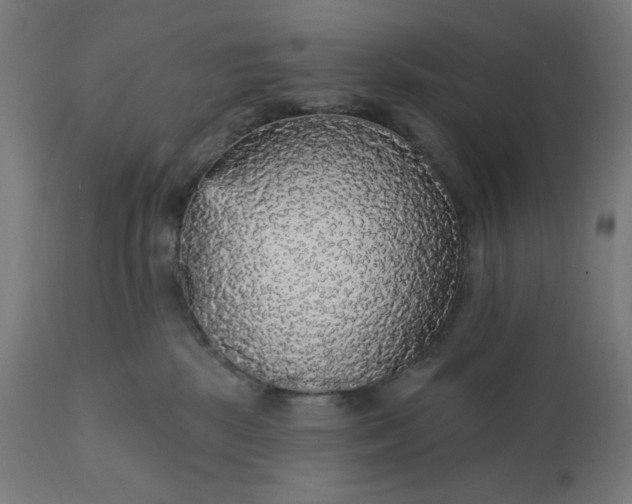 X0000112430281200908281909