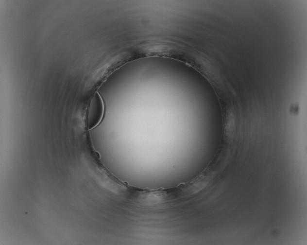 X0000112430282200908281909