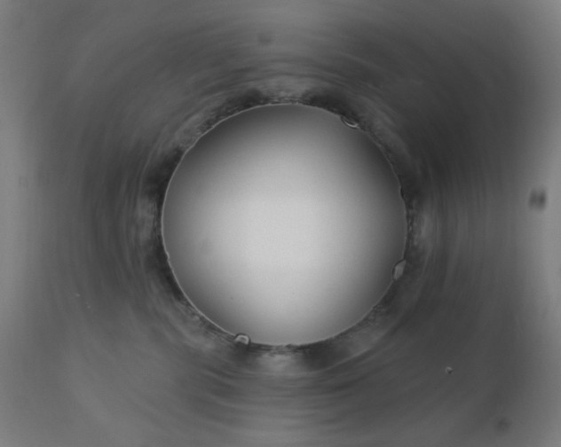 X0000112430283200908281909