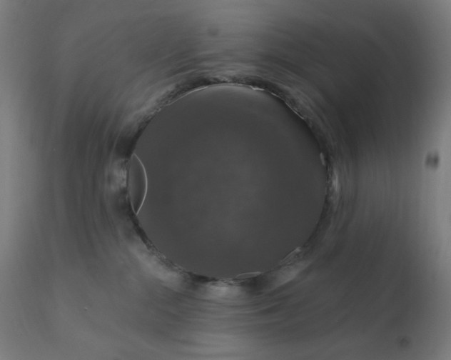 X0000112430284200908281909