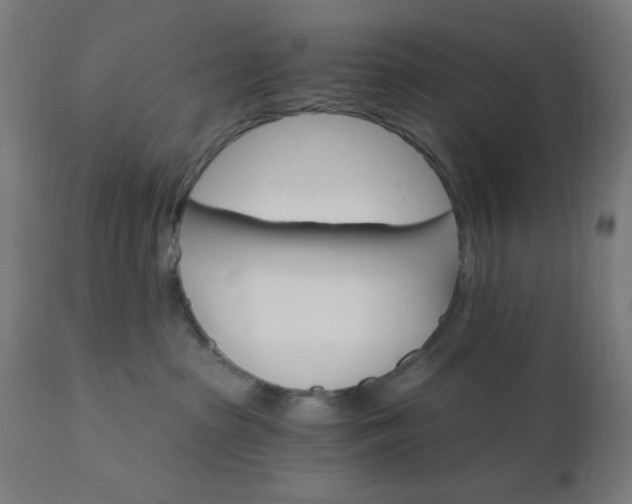 X0000112430285200908281909