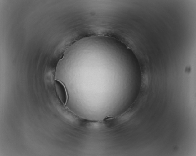 X0000112430286200908281909