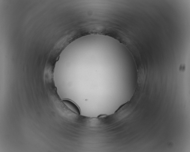 X0000112430287200908281909