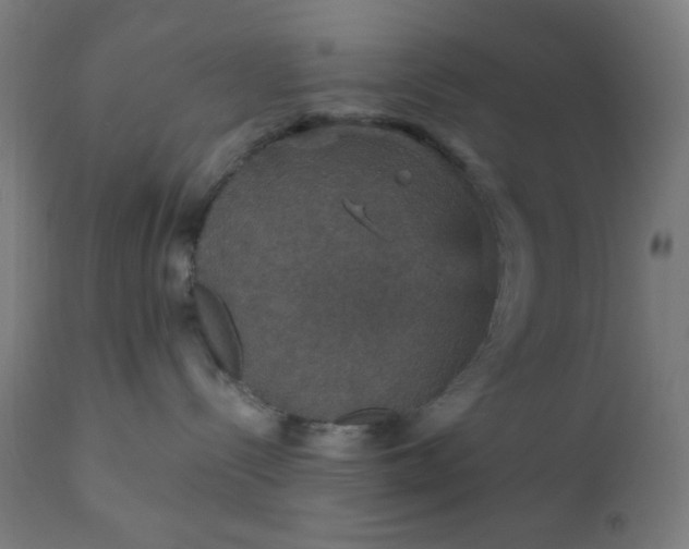 X0000112430288200908281909