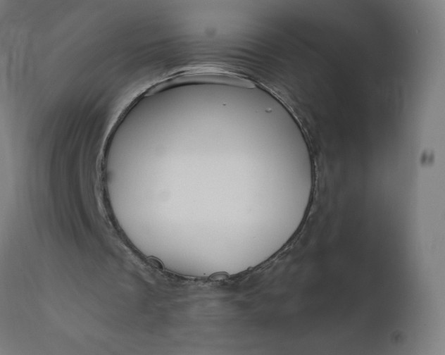 X0000112430289200908281908