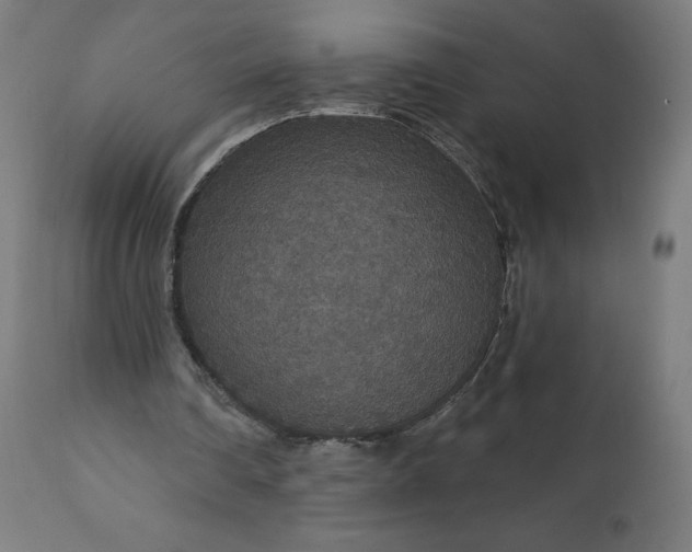 X0000112430290200908281908