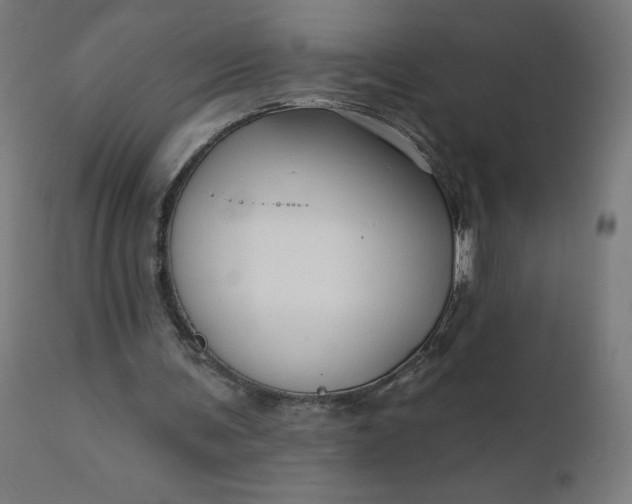 X0000112430291200908281908